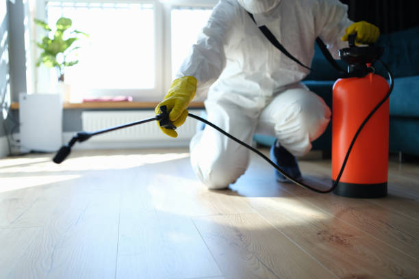 Reliable Sewage Cleanup contractor in Troy, IL by Trauma Clean Pros